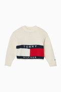 Tommy Hilfiger Heritage Flag Sweater in Knit
